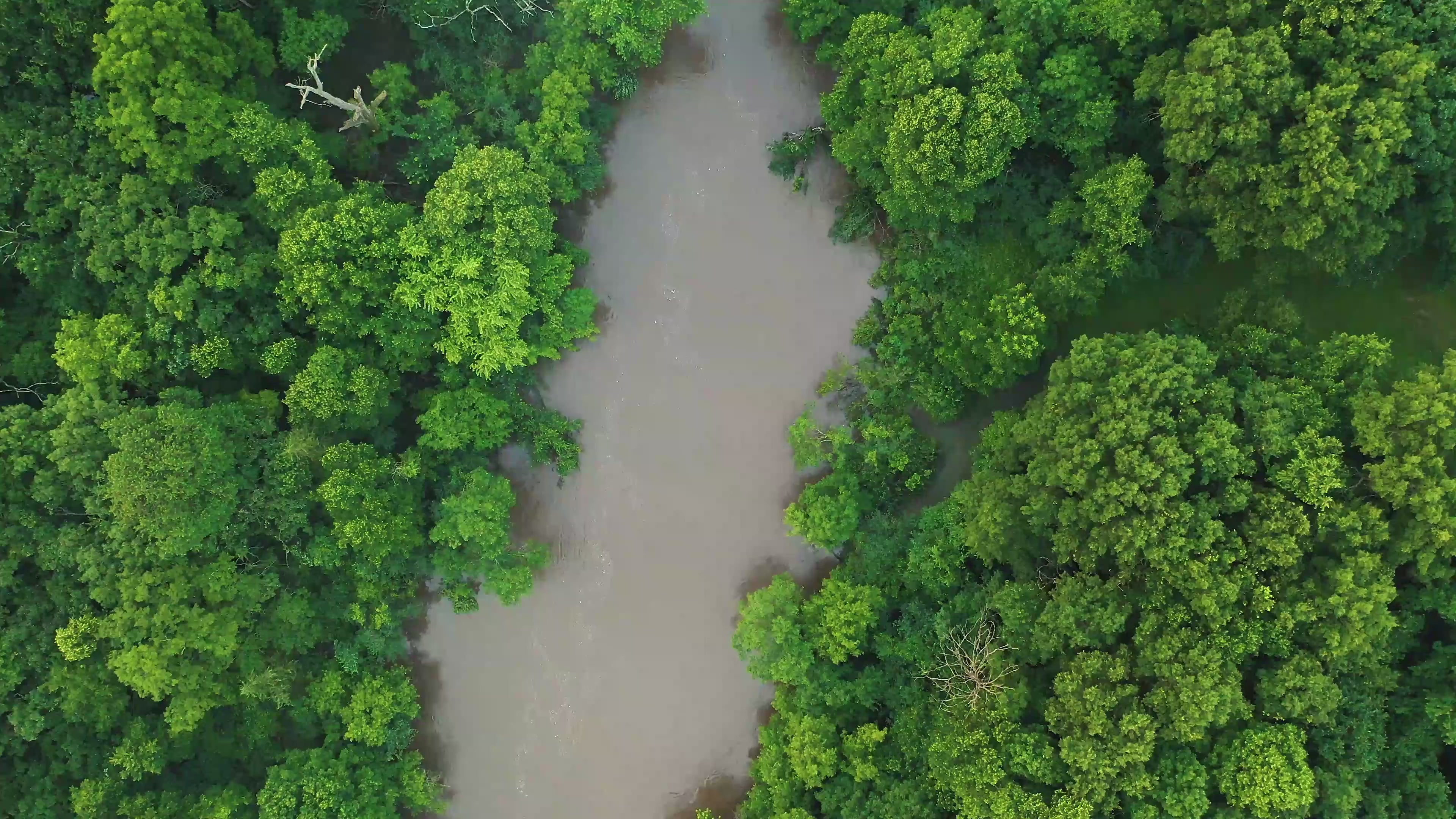 Parceria da marca de roupas sustentáveis MINIMADEIA com SOS Amazônia, cada compra feita no site vale uma doação para causas sociais e ambientais. Vídeo Destaque JUL25