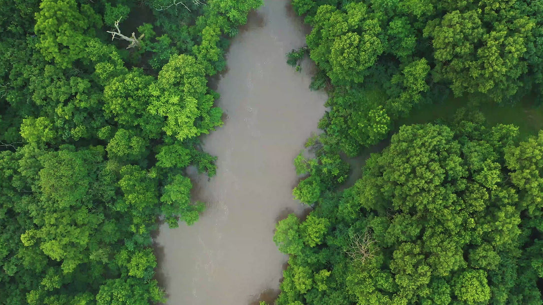 Parceria da marca de roupas sustentáveis MINIMADEIA com SOS Amazônia, cada compra feita no site vale uma doação para causas sociais e ambientais. Vídeo Destaque JUL25